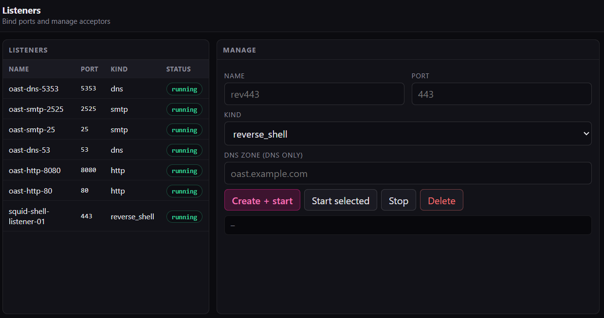 SquidC5 listeners panel with DNS, HTTP, SMTP, and reverse shell acceptors running