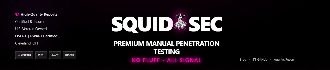 SquidSec — premium manual penetration testing